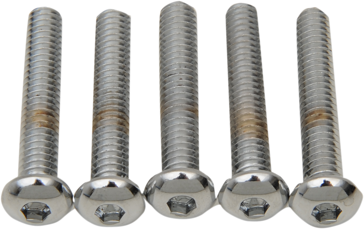 Drag Specialties MPB824 Button Head Bolts Replacement Kit - 1/4"-20 x 2" - Pack of 5