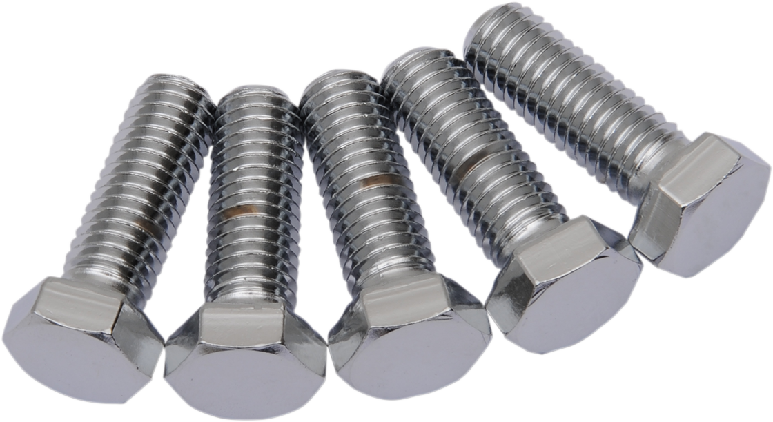DRAG SPECIALTIES Chrome Hex-Head Bolts - 1/2"-13 x 1-1/4" (Part MPB673)