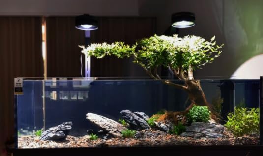 Seiryu Stone Natural Stone Rocks Fish Tank Decor Rocks for Aquariums Landscaping Model Tank Decoration Aquarium Miniature -20Lb (2-8 inch)