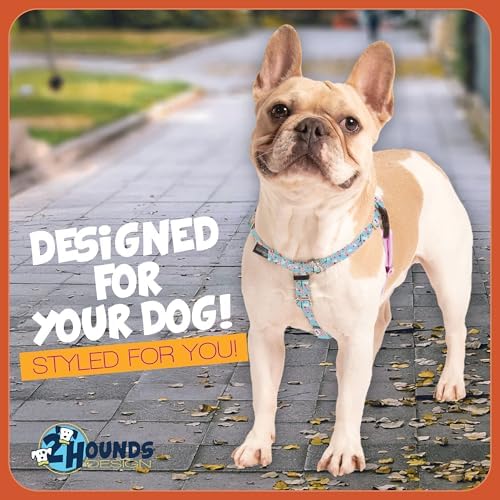 2 Hounds Design