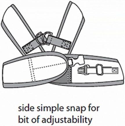 Step Easy Harness