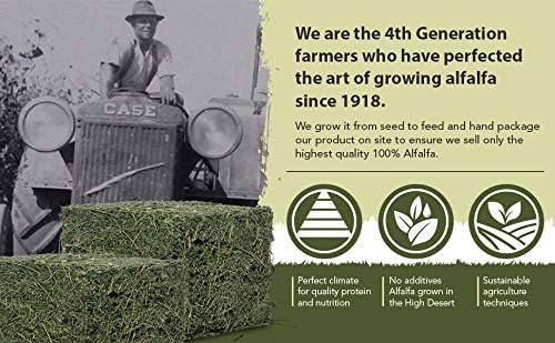 High Desert Alfalfa Hay for Rabbits, Guinea Pigs, Chinchillas & Small Pets – Protein-Rich Natural Hay for Young, Growing Animals – High-Fiber, Hand-Packed, Additive-Free, Grown in USA – 10 lb Box