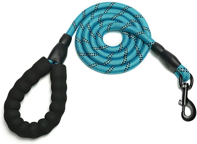 Dog Leash
