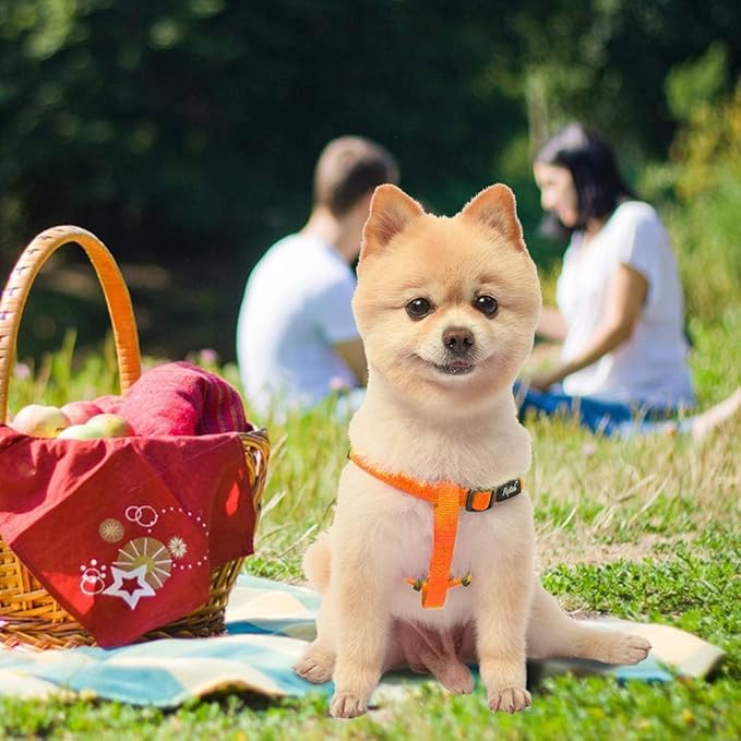 PUPTECK No Pull Dog Harness Soft Adjustable Basic Nylon Step in Puppy Vest Outdoor Walking with ID Tag X-Small Orange