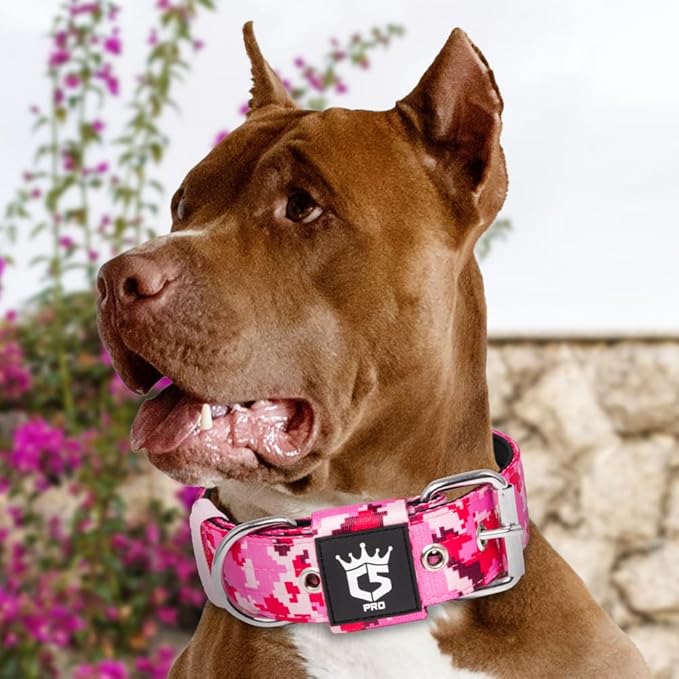 TSPRO Tactical Dog Collar 1.5 Inch Wide Thick Dog Collars with Heavy Duty Metal Buckle, Durable, Strong, Adjustable for Medium to Large Dogs (Camo Pink M)