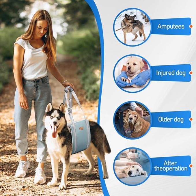Dog Lift Harness for Small Dogs, Adjustable Dog Sling for Back Legs, Hip Support Harness to Help Lift Dogs Rear for Canine Aid and Old K9 Cruciate Ligament Rehabilitation - Small, Grey