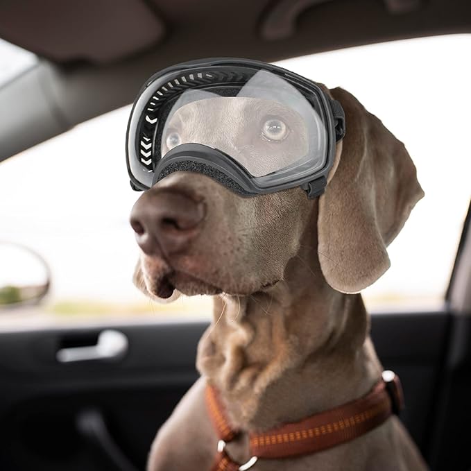 NAMSAN Clear Dog Goggles for Large Dogs, Wide Eyecup & Soft Frame, Anti-UV Sunglasses for Dogs Medium to Large Breed, Driving Dog Eye Protection, Windproof Dustproof, Adjustable, Black Frame