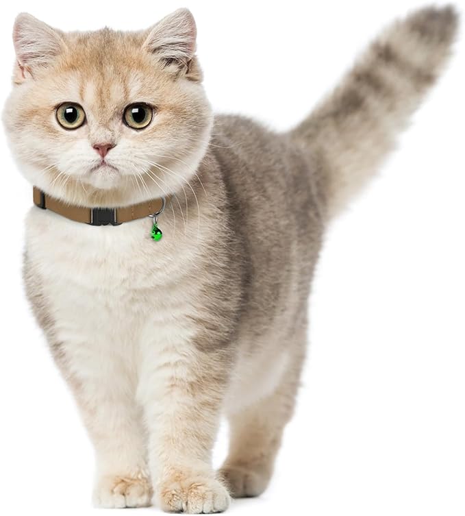 Breakaway Cat Collar Leather with Removable Bell - 13 Colors Available - Soft Adjustable Girl Boy Safety Lightweight Pet Kitten Collars Pink Brown Blue Green Red Orange Black (Orange)