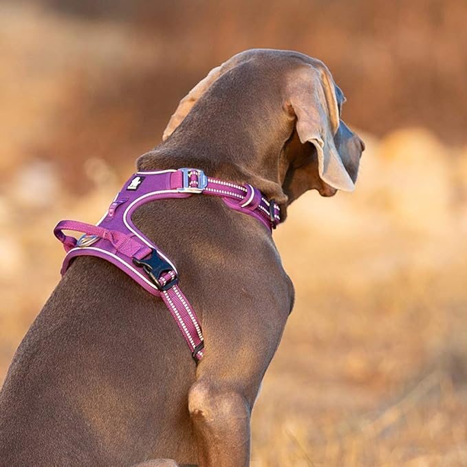 TRUE LOVE Dog Harness No Pull Nylon Reflective Pet Harness Adjustable Comfortable Control Step-in Brilliant Colors Truelove TLH56512