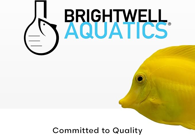 Brightwell Aquatics MicroBacter Clean - Microbial Culture & Enzyme Blend Fish Tank Cleaner - Cleans Live Rock Surfaces for Saltwater Fish Habitats - Aquarium Water Treatments, 67.6 fl oz