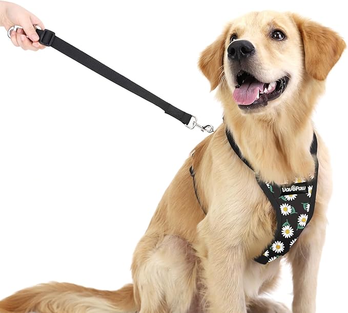 Dog Seat Belt, Safety Vest Dog Car Harness with Adjustable Buckle Dog Seat Belt for Vehicle Nylon Pet Safety Seat Belts Heavy Duty(L, Black Daisy)