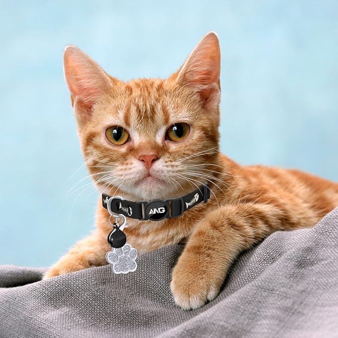 Personalized Breakaway Cat Collars Glow-in-The-Dark with ID Tag, Bell - Safety Quick - Release, Customizable for Female Male Kittens & Cats (Black)