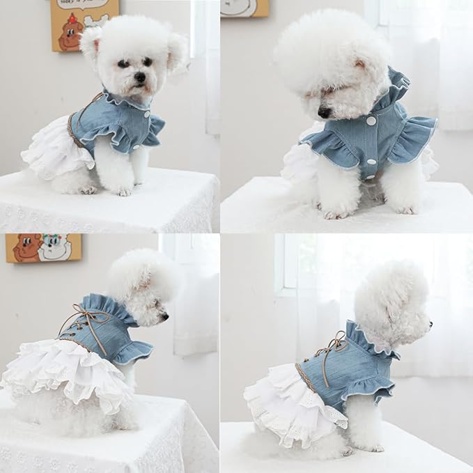 Girl Dog Denim Dress with Flared Sleeves Dog Jeans Jacket Blue White Puppy Clothes for Small Dogs Cat Apparel Cake Skirt Pet Outfit (Blue, Large)