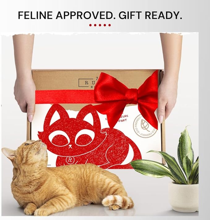 7 Ruby Road Cat Hammock Wall Mounted Shelf with Two Steps Set - Wall Shelves and Perches for Sleeping, Playing, Climbing and Lounging - Modern Cat Bed & Furniture for Indoor and Large Cats or Kitty