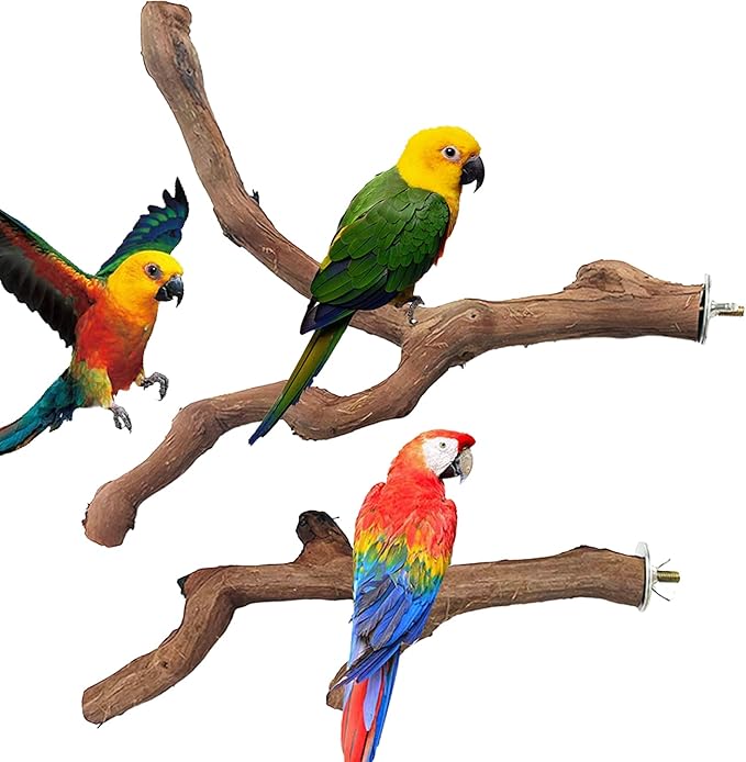 Allazone 4 PCS Natural Wood Bird Perch Stand, Bird Parrot Perch Stand Set, Wooden Parrot Perch Stand Perch Platform Cage Accessories for Parrotlets Cockatiels Budgies Parakeets