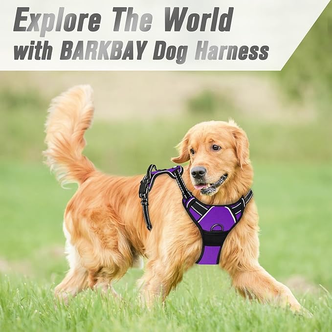BARKBAY No Pull Dog Harness Front Clip Heavy Duty Reflective Easy Control Handle for Large Dog Walking(Purple,S)