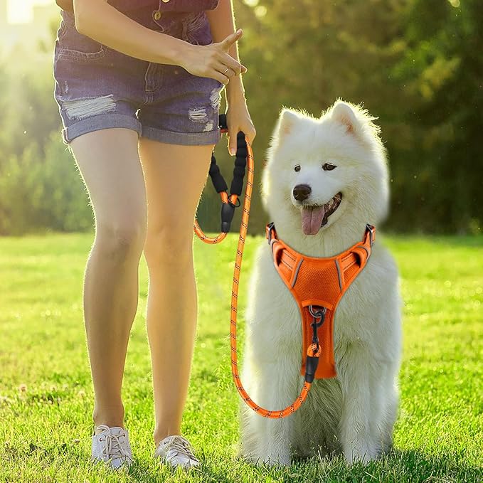 BARKBAY Dog Harness No Pull with ID Tag Pocket - Heavy Duty, Reflective, Easy Control for Large Dogs(Orange,M)