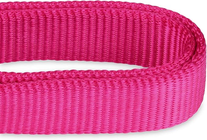 Hyhug Pets Upgraded Heavy Duty Nylon Escape-Proof Martingale Dog Collar for Small Dogs Comfy and Safe - Professional Training, Daily Walking and Jogging. (Small, Rose Red)