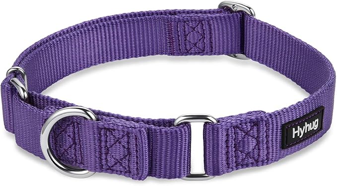 Hyhug Pets Premium Upgraded Heavy Duty Nylon Anti-Escape Martingale Collar for Boy and Girl Dogs Comfy and Safe - Daily Use Walking and Professional Training. (Large, Ultra Violet)