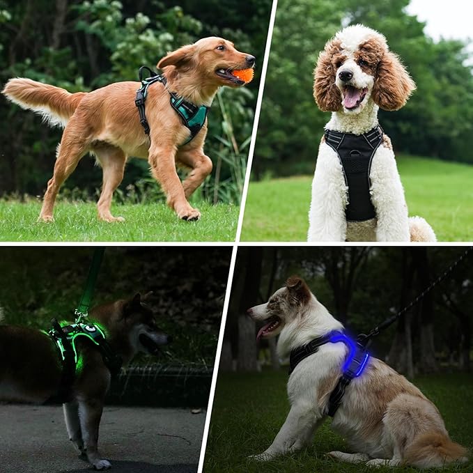 Taglory Light Up Dog Harness, Rechargeable No Pull Dog Vest with 3 Lightning Modes, Reflective Dog Harness with 2 Leash Clips & 4 Adjustable Slide Strips for Large Dogs, Turquoise-Green, L