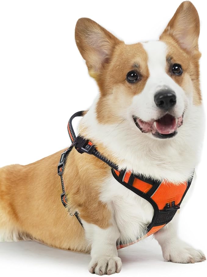 PUPTECK No Pull Dog Harness Medium Sized, Adjustable Reflective Dog Harness with Handle Easy Control, Comfortable Soft Padded Pet Vest Harness for Medium Dogs, Orange M