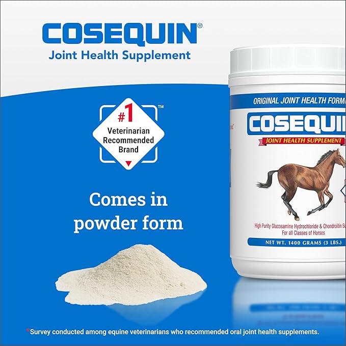 Nutramax Cosequin Original Joint Health Supplement for Horses - Powder with Glucosamine and Chondroitin, 700 Grams