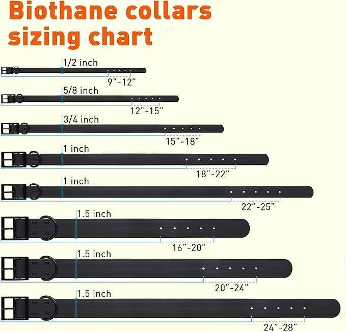 Dogline Biothane Waterproof Dog Collar Strong Coated Nylon Webbing with Black Hardware Odor- Proof for Easy Care Easy to Clean High Performance Fits Small Medium or Large Dogs, Black