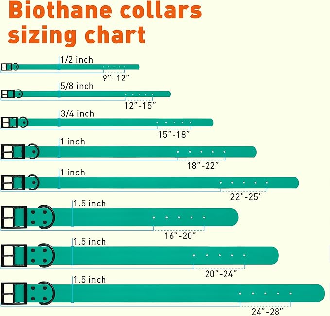 Dogline Biothane Waterproof Dog Collar Strong Coated Nylon Webbing with Black Hardware Odor- Proof for Easy Care Easy to Clean High Performance Fits Small Medium or Large Dogs, Teal