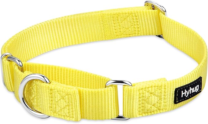 Hyhug Pets Premium Upgraded Heavy Duty Nylon Anti-Escape Martingale Collar for Boy and Girl Dogs Comfy and Safe - Professional Training, Daily Use Walking. (Large, Illuminating Yellow)