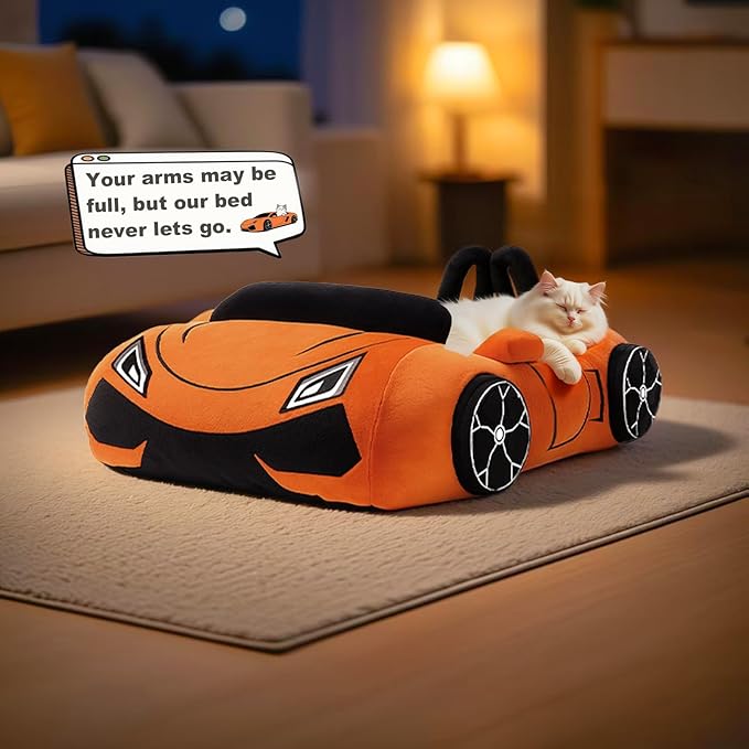 Cute Cat Beds Kitten Beds, Soft Small Dog Beds, Washable Pet Beds for Puppy and Kitty, Funny Supercar Cat Toys, 24 Inch