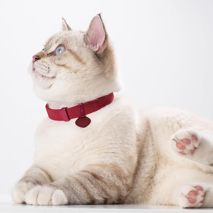 Safety Cat Collar Pro and Tag Set - U.S. IDA Gold Award, Elastic Release Cat Collar Charm Tag, Non Breakaway Cat Collar Adjustable with Charm for Kitten Small Large Cats (Burgundy, M)