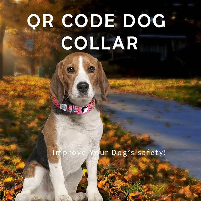 Reflective Dog Collar with Apple AirTag Holder & QR Code Pet ID Tag,Soft Nylon Adjustable Dog Tracker Collar with Safety Lock for Large Dogs(Rose Red, L)