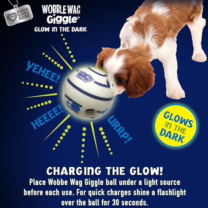 Wobble Wag Giggle & Glow | Rolling Enrichment Toy for Fun Playtime, Interactive Play for Indoor or Outdoor, Keeps Dogs & Puppies Large, Medium or Small Busy & Moving, As Seen on TV | Pack of 2