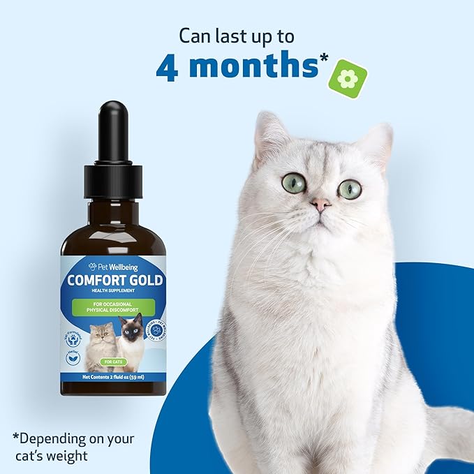 Pet Wellbeing Comfort Gold for Cats - Supports Feline Physical Comfort, Healthy Circulation, Corydalis, Turmeric - Veterinarian-Formulated Herbal Supplement 2 oz (59 ml)