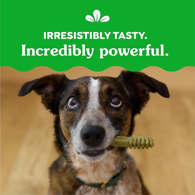 Greenies Regular Dental Dog Treats, Blueberry Flavor, 12 oz. Pack (12 Treats)