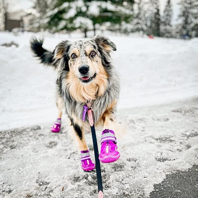 QUMY Dog Shoes for Large Dogs, Medium Dog Boots & Paw Protectors for Winter Snowy Day, Summer Hot Pavement, Waterproof in Rainy Weather, Outdoor Walking, Indoor Hardfloors Anti Slip Sole Purple Size 7