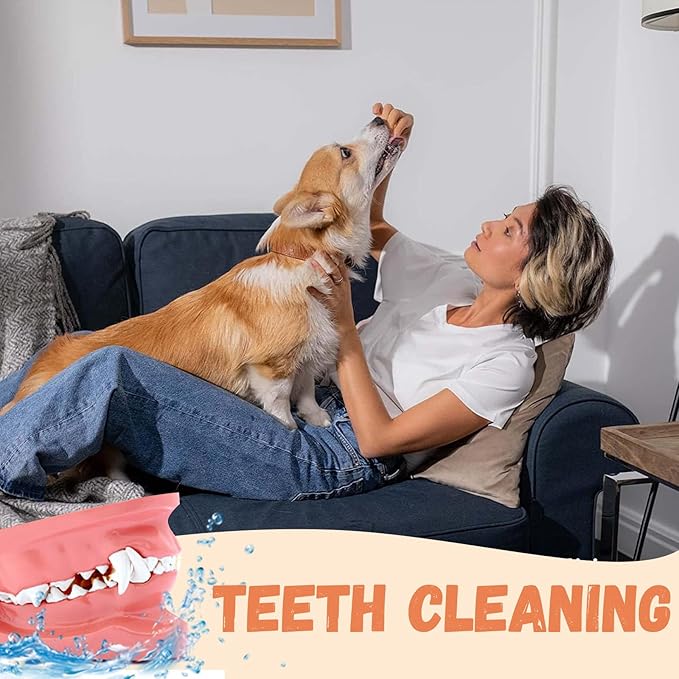 Dog Treats Chicken Jerky Strips for Dogs, Natural Healthy Dog Jekry with Taurine, Real Chicken Twists High Protain Low Fat, Training Rewards Treats for Small Medium Large Dogs 10.6 oz