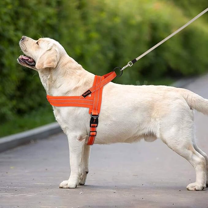 Didog No Pull Dog Harness with Soft Mesh Padded,Reflective & Quick Fit Light Weight Dog Strap Vest Harness,Easy for Walking Training (S:Chest 18-22", Orange)