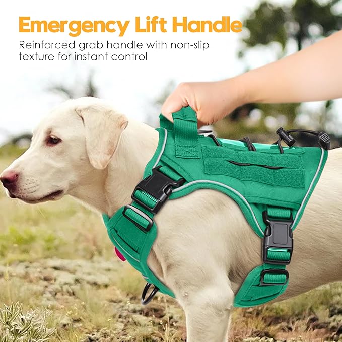 Heavy-Duty Tactical Dog Harness for Large Dogs, No Pull Adjustable Reflective Pet Vest with Molle System, K9 Military-Grade Control for Service Training, Outdoor & 10+ Breeds, Turquoise, Small