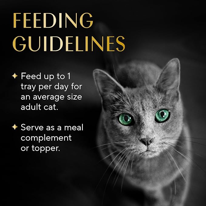 Sheba Selections Filets in Broth Adult Wet Cat Meal Complement Chicken or Tuna Recipe, 1.3 oz. Cups, 8 Count (Pack of 2)