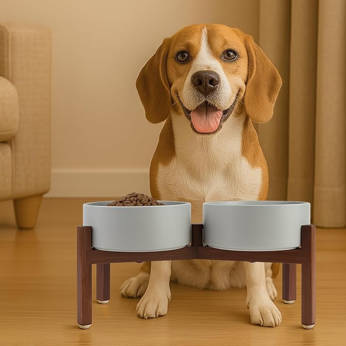 SPUNKYJUNKY Raised Ceramic Dog Bowls Set with Non-Slip Acacia Wood Stand for Medium Sized Dog(42.27 OZ, Gray)
