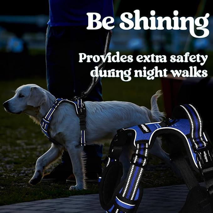 rabbitgoo Dog Harness Small Sized, No Pull Pet Harness with 3 Buckles, Adjustable Soft Padded Vest with Control Handle, Walking Reflective Pet Vest for Small Dogs, Blue, S