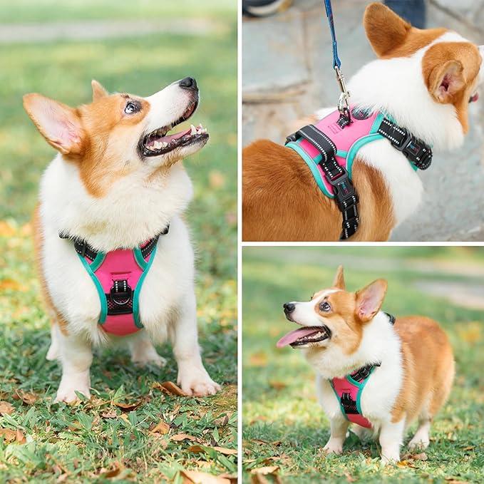 PHOEPET 2019 Upgraded No Pull Dog Harness, Reflective Adjustable Vest, with a Training Handle + 2 Metal Leash Hooks+ 3 Snap Buckles +4 Slide Buckles(M, Pink)