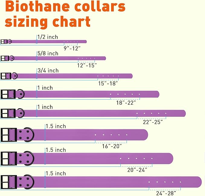 Dogline Biothane Waterproof Dog Collar Strong Coated Nylon Webbing with Black Hardware Odor- Proof for Easy Care Easy to Clean High Performance Fits Small Medium or Large Dogs, Amethyst Purple