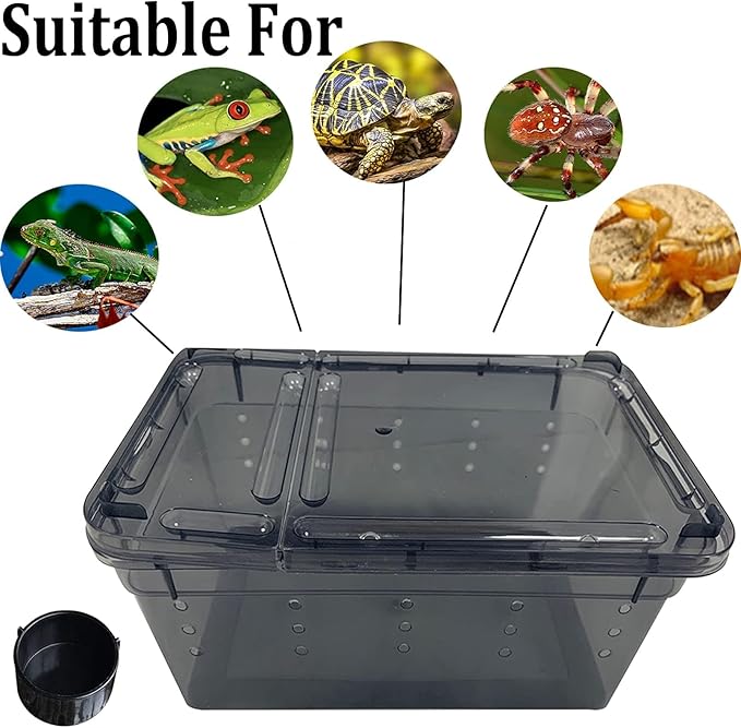 PINVNBY Reptile Enclosure Terrarium 2-Pack - 12.6"x8.7"x5.9" Multi-Purpose Transparent Plastic Habitat Cage for Gecko Scorpion Spider Snake Breeding Feeding & Cricket Keeper with Ventilated Lid, Black