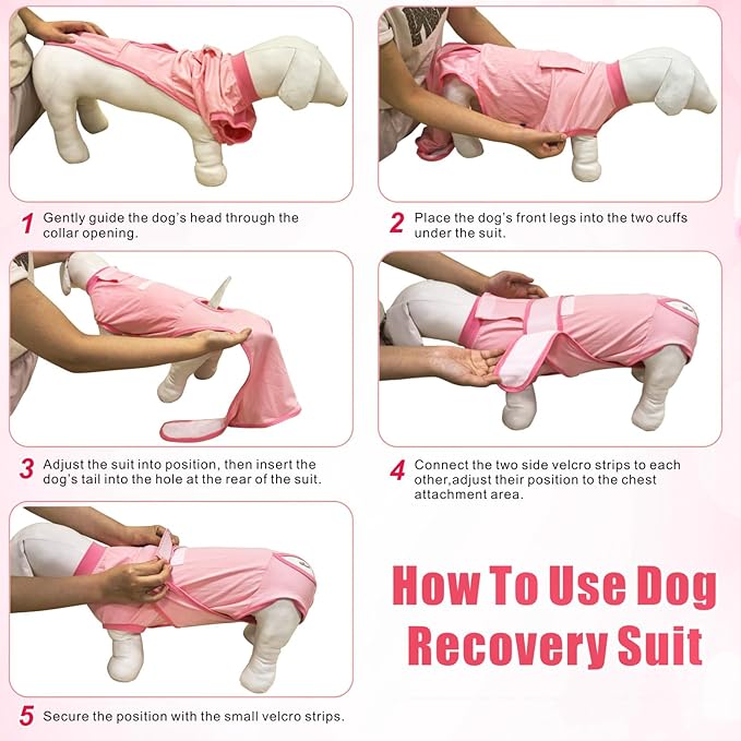 Idepet Dog Recovery Suit Female,Dogs Onesie Suit Surgery Male Breathable Pet Bodysuit for Spay Neuter E-Collar & Cone Alternative Surgical Suit Puppy Abdominal Anti Licking Wounds Shirt (Gray, XS)