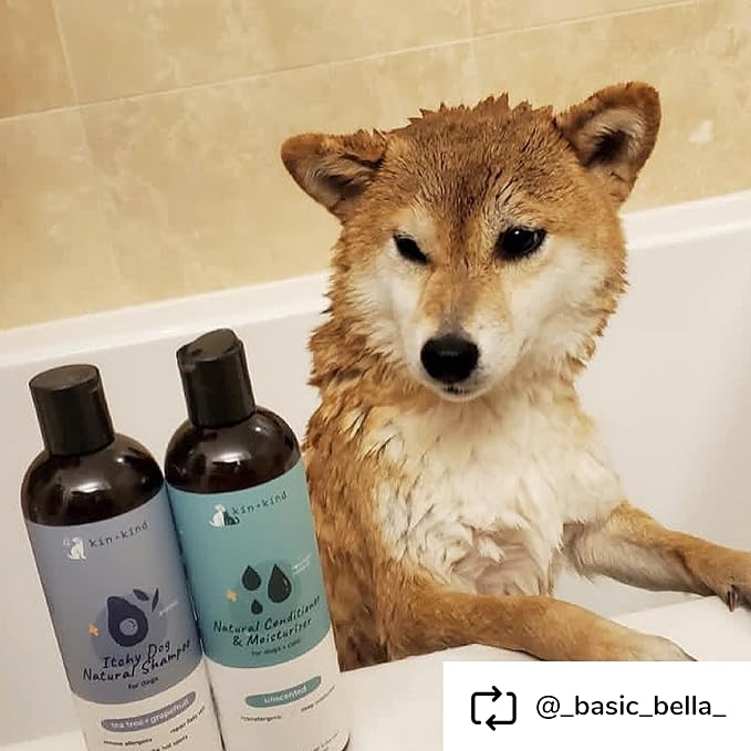 kin+kind Pet Shampoo for Itchy Dog and Cat (12 fl oz) - Soothe Itch and Hot Spot Irritation - Safe, Natural Formula with Olive Oil, Coconut Oil and Avocado Oil - Made in USA