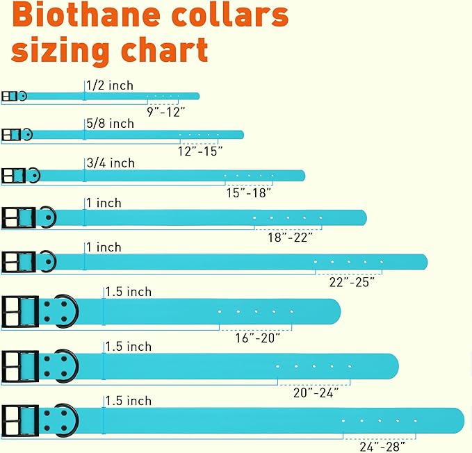 Dogline Biothane Waterproof Dog Collar Strong Coated Nylon Webbing with Black Hardware Odor- Proof for Easy Care Easy to Clean High Performance Fits Small Medium or Large Dogs, Sky Blue