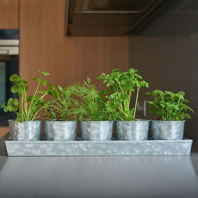 SCANDINORDICA Galvanized Metal Herb Planter, 5 Pots with Drainage Holes, Indoor Outdoor Use, Farmhouse Decor, 19.5x3.9x3.5 inches