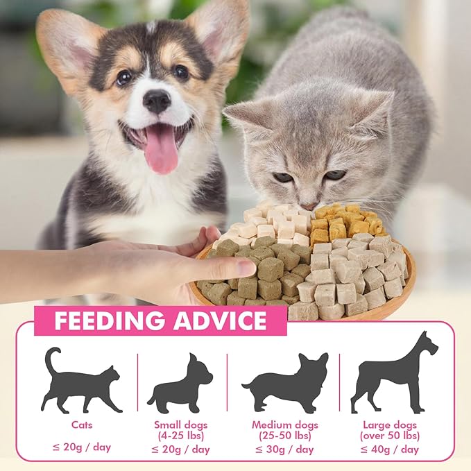 Freeze Dried Cats & Dogs Raw Treats, All Natural Single Ingredient Salmon, High Protein Healthy Pet Training Treats or Food Topper, 10.6 oz